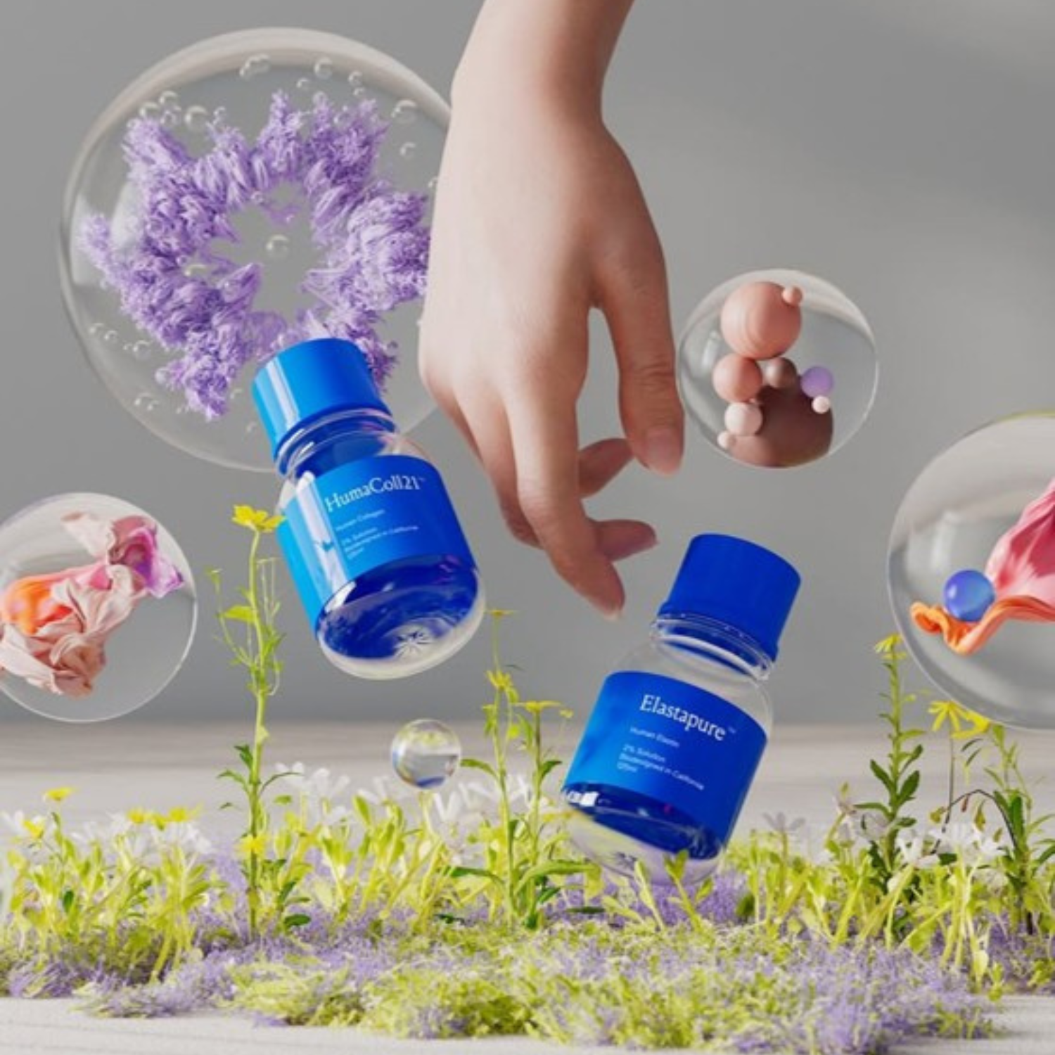 Geltor biotech collagen supplements | MMR Research